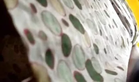 دو دختر لعنتی در عکس متحرک سکسی حشری کننده سوراخ مقعد