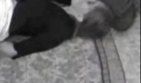 رابطه جنسی فیلم وعکس سکسی حشری خوب ، آرامش بخش و شهوانی