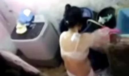 دو عوضی آفتاب زدند و گربه هایشان را لعنتی عکسهای سکسی زنان حشری کردند