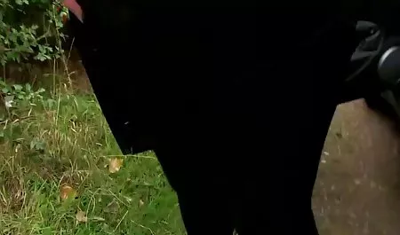 شخص عکس های سکسی فوق حشری سوار به هتل جوجه شد و عوضی بود